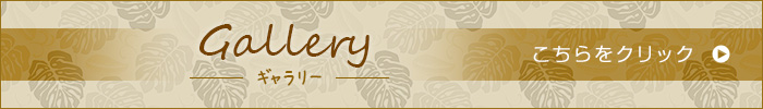 gallery_banner